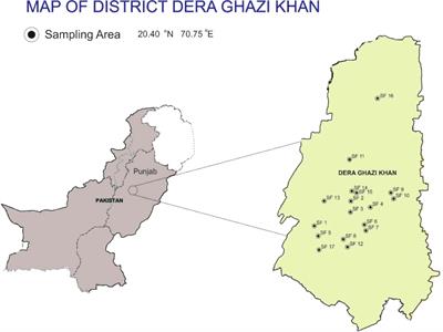 Amassing of heavy metals in soils, vegetables and crop plants irrigated with wastewater: Health risk assessment of heavy metals in Dera Ghazi Khan, Punjab, Pakistan